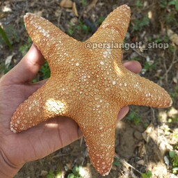 ستاره دریایی پاتریک واقعی رنگ و طرح بسیااار زیبا و منحصربفرد (قبل از ثبت سفارش از موجودی محصول حتما استعلام بگیرید)