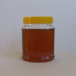 عسل کنار نیم کیلویی - امساله - ارگانیک  