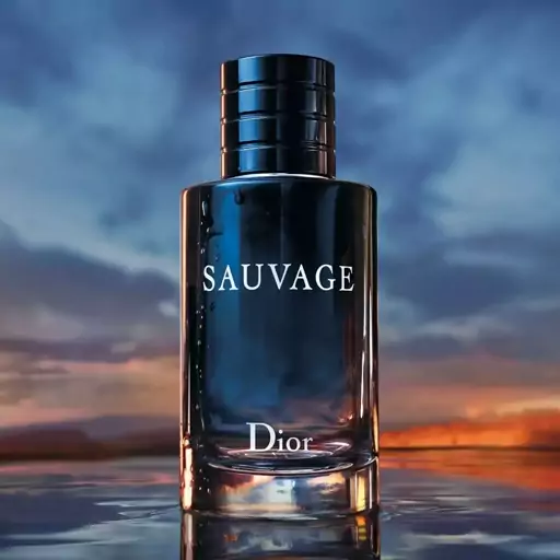 عطر گرمی ساواج دیور Sauvage Dior کیفیت عالی دیور