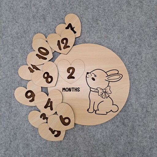 تک دیسک ماهگرد 2لایه و 12 قلب برای هر ماه، مدل خرگوش ملوس، قطر 20 سانت، مناسب برلی عکاسی نوزاد، سیسمونی
