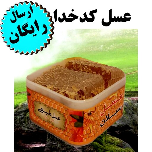 عسل چهل گیاه باموم کدخدا (900 گرم)(باموم)(ارسال فوری)(مستقیم از زنبوردار)