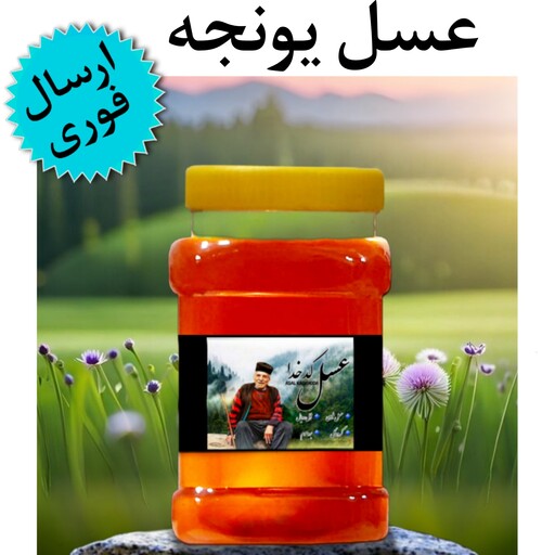 عسل یونجه کدخدا (شهد)(1 کیلوگرم)(ارسال فوری)(مستقیم از زنبوردار)