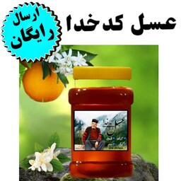 عسل طبیعی  مرکبات بهارنارنج کدخدا(شهد)(1 کیلوگرم)(ارسال فوری)(مستقیم از زنبوردار )