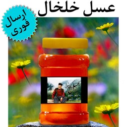 عسل خلخال کدخدا (شهد)(1کیلوگرم)(ارسال فوری)(مستقیم از زنبوردار)