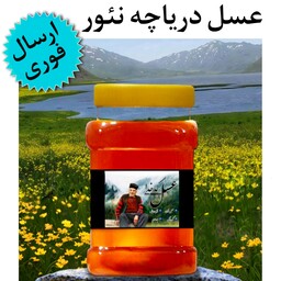 عسل دریاچه نئور کدخدا (شهد)(1کیلوگرم)(ارسال فوری)(مستقیم از زنبوردار)