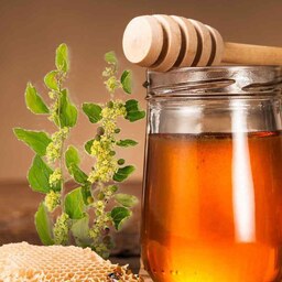 عسل طبیعی کنار 100 درصد ارگانیک، دارویی ،یک کیلویی