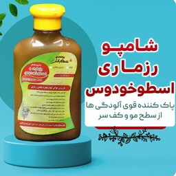 شامپو رزماری اسطخودوس 