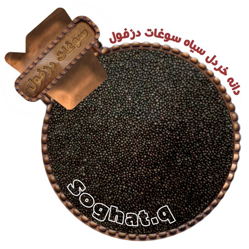 دانه خردل سیاه ممتاز (100گرم) سوغات دزفول