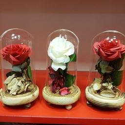 گل رز جاودان مصنوعی مدل دیو و دلبر جنس ترکیب شیشه و چوب