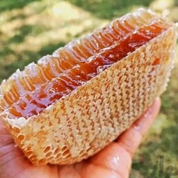 عسل طبیعی چهل گیاه مرتع زنبورستان مهندس قربانی بهاره نیم کیلوگرم خالص اعلا درجه یک
