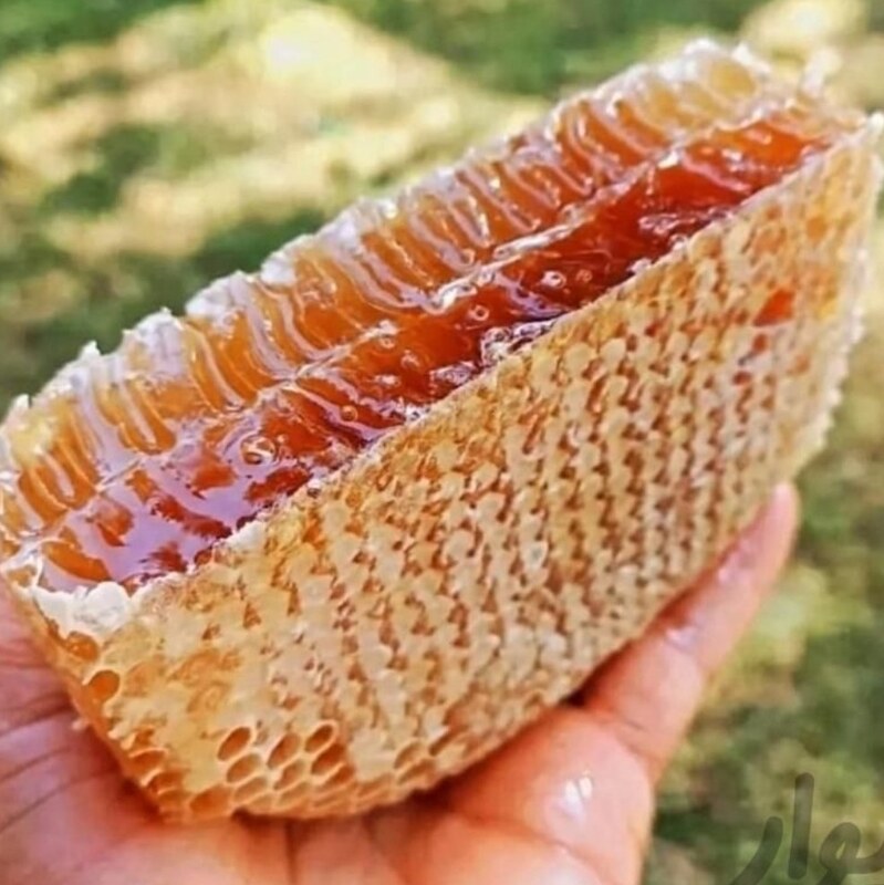 عسل طبیعی خام باموم مرتع  زنبورستان گل ماهور درجه یک 