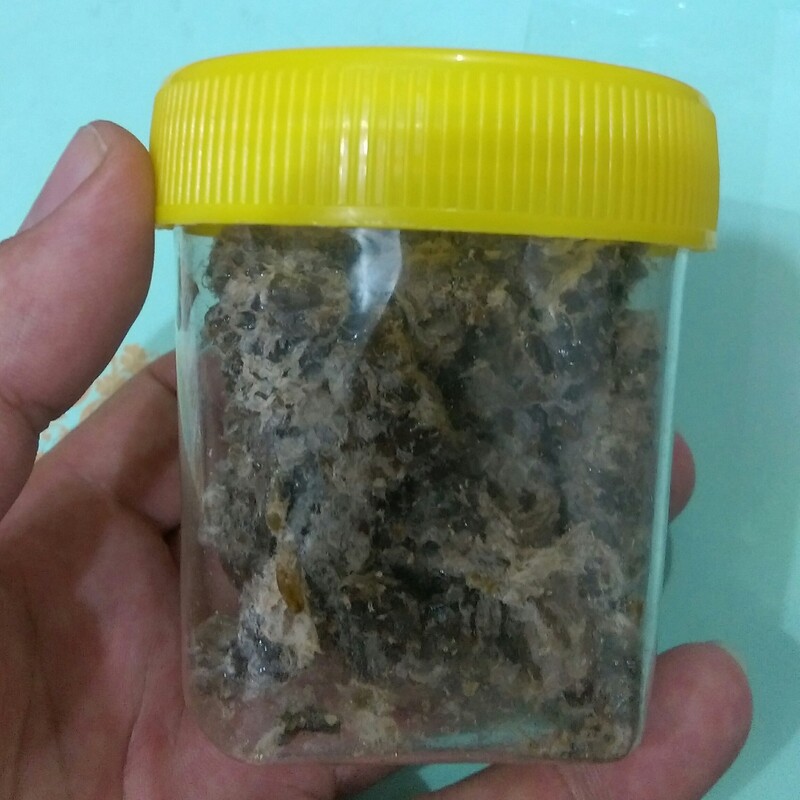 عسل وحشی زنبور کمرباریک (70گرم)