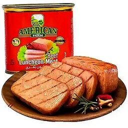 کنسرو گوشت و مرغ آمریکن فارم (340 گرم)