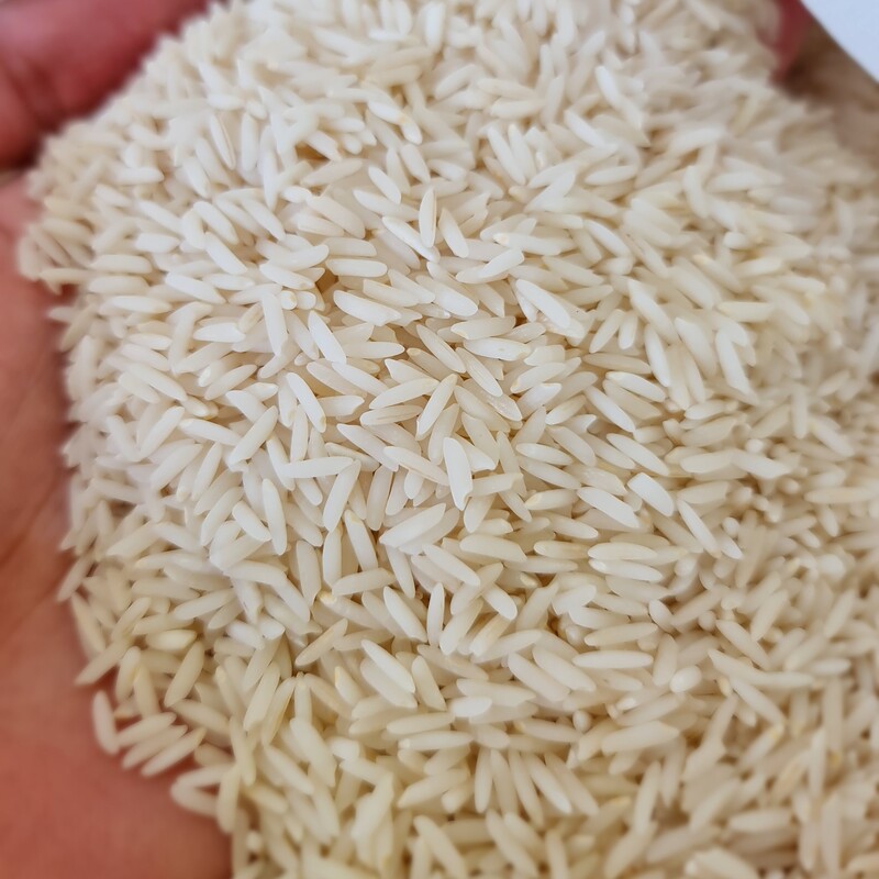 برنج صدری هاشمی 1 کیلویی(برای تست کردن)