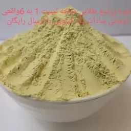 نوره زرنیخ طلایی شاخه 1به6  واقعی درمانی برند سادات کیفیت عالی و تضمینی با وزن 1000گرم و ارسال رایگان 