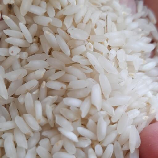 برنج چمپا  جنوب با بهترین کیفیت