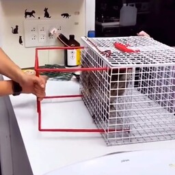 قفس واکسن گربه باکس مقیدسازی جهت تزریقات دردامپزشکی