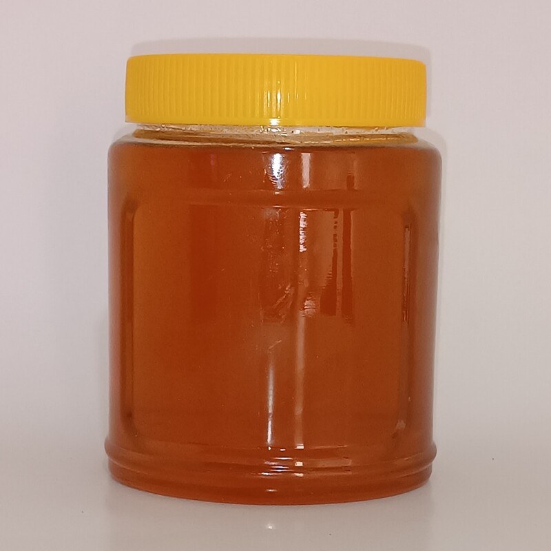 عسل گشنیز یک کیلو گرمی 