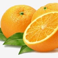 پرتغال 🍊