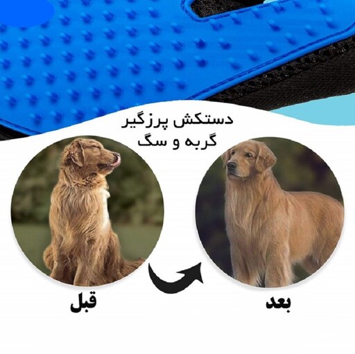 دستکش پرزگیر گربه و سگ 