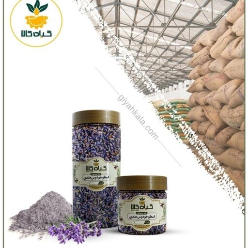 گل اسطوخودوس ایرانی با کیفیت عالی، بار امسالی و تازه(250 گرمی)