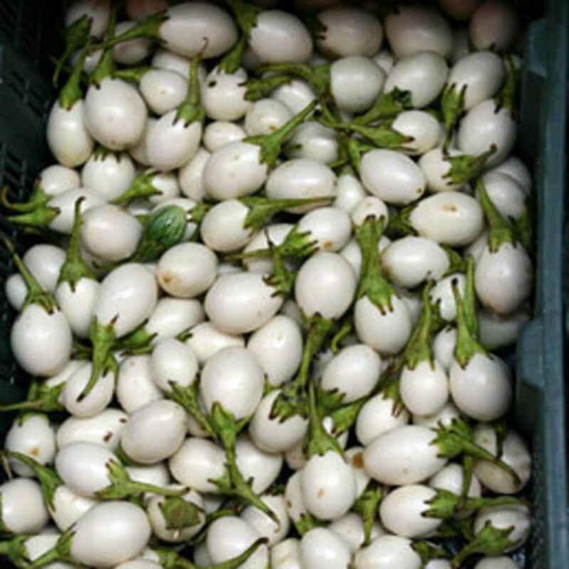 بذر بادمجان سفید سولانیوم 10عددی