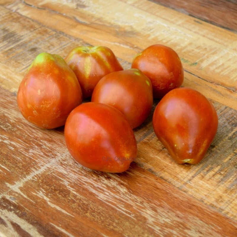 بذر گوجه فرنگی ترایفل ژاپنی 20عددی