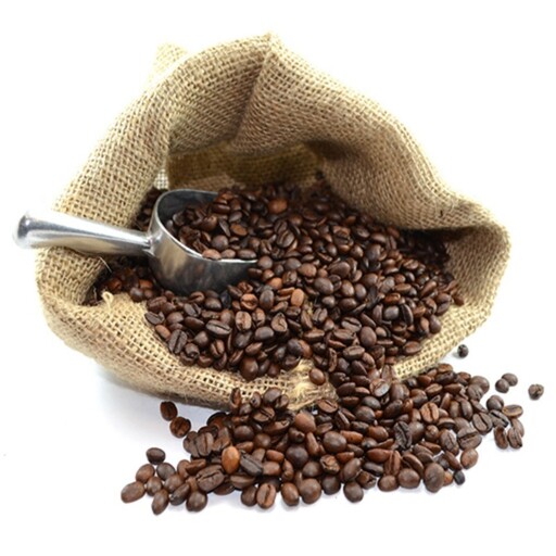 بذر درخت قهوه عربی 4 عددی
