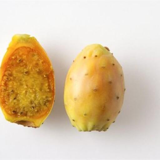 بذر کاکتوس اپونتیا میوه دار زرد