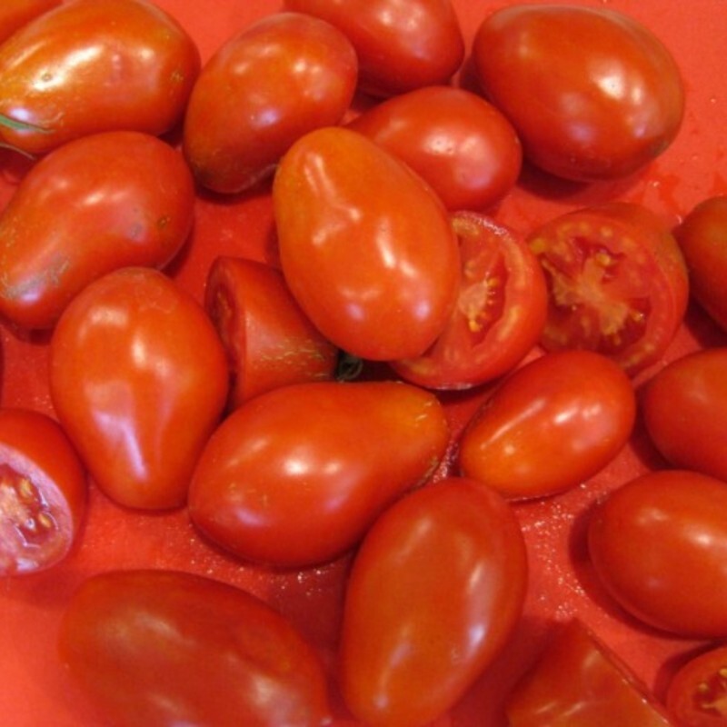 بذر گوجه فرنگی پومودورو 20عددی