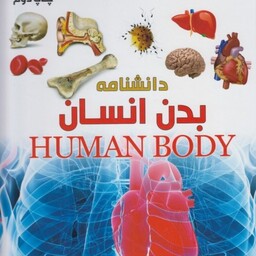 دانشنامه بدن انسان (شاهد عینی)،(گلاسه)