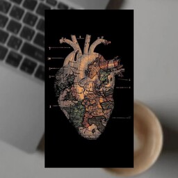 پوستر استیکر برچسب طرح آناتومی قلب تکی سایز a5 کد 1169