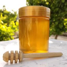 عسل درمانی کُنار ساکارز 2 درصد نیم کیلویی