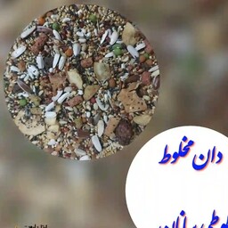 دانه مخلوط درجه یک طوطی سانان، تشویقی