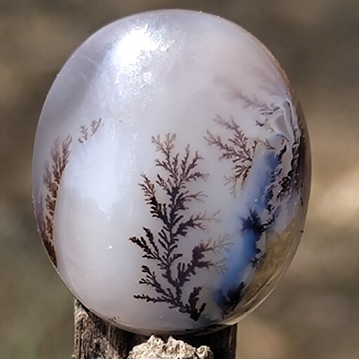 نگین شجر قائن سوزنی کلکسیونی و خاص بسیار زیبا و کمیاب شجر قائنات طبیعی معدنی اصل سنگ شجر قائنات خوش منظره سنگ شیشه ای