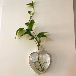گلدان دیواری شیشه ای  طرح قلب،دهانه 4، پهن ترین قسمت کار 15.مناسب برای قلمه و تنک ماهی قابل نصب روی دیوار.