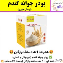 جوانه ی گندم  اصلی تقویت کننده