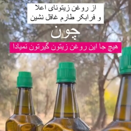 روغن زیتون طارم 