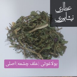 بولاغوتی (65گرمی)