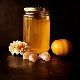 عسل گون-گشنیز -خوشیل(500 گرم)