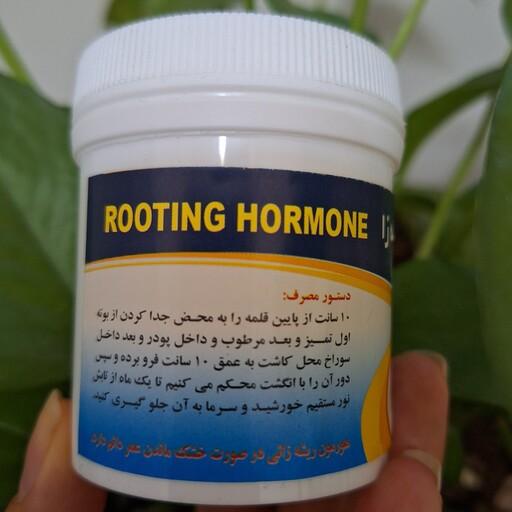 هورمون محرک ریشه زایی. اثر بخشی سریع و ماندگاری دائمی. مناسب ریشه زایی قلمه ی تمام گیاهان