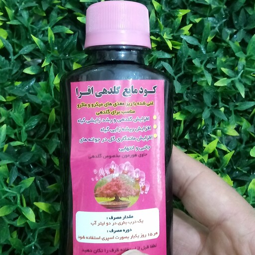 کود مایع گل دهی افرا (گلهای آپارتمانی)