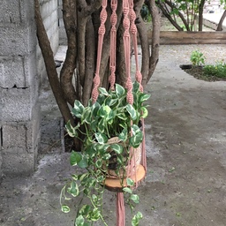 آویز گلدان مکرومه با چوب تنه درخت