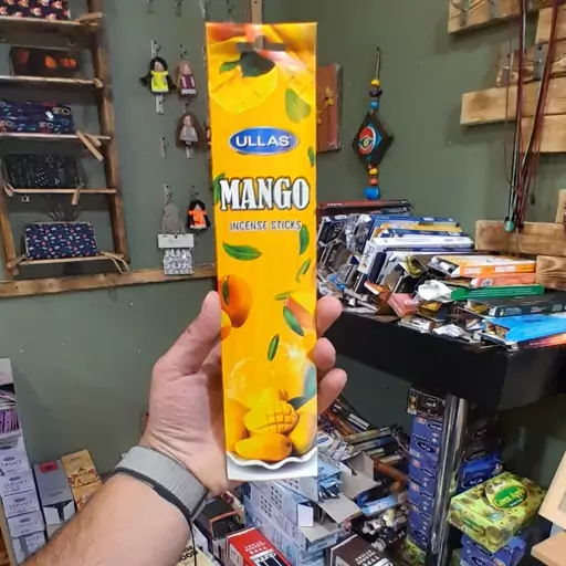 عود شاخه ای انبه عود پاکتی انبه عود منگو عود شاخه ای mango 