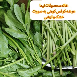 ترشی کرفس کوهی ( 500گرمی) 