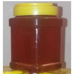 عسل طبیعی و ارگانیک کنار (1 کیلویی)