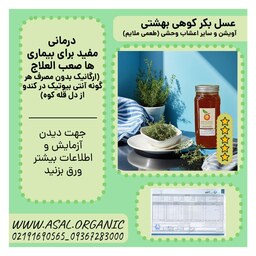 عسل ارگانیک ساکارز 0.1 درصد (عسل آویشن ارگانیک کوهی و سایر اعشاب وحشی) یک کیلویی 