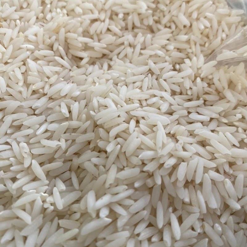 برنج شیرودی مازندران
