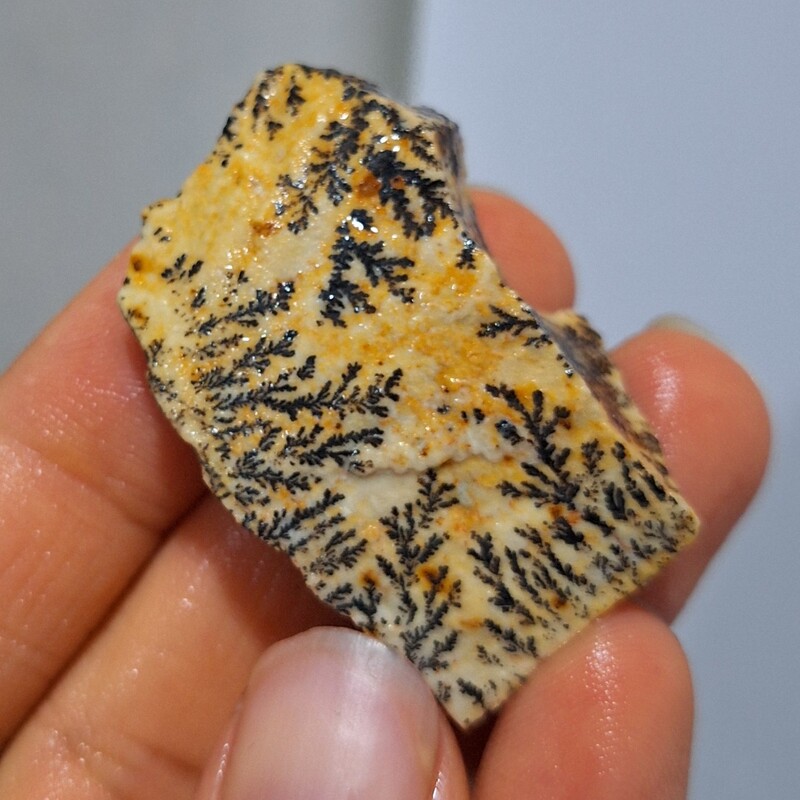 سنگ راف شجر دندریتی بسیار با کیفیت و واضح و پر رنگ کد 18787