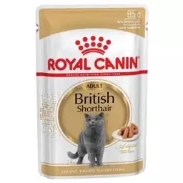 پوچ گربه رویال کنین مدل British Shorthair وزن 85 گرم 